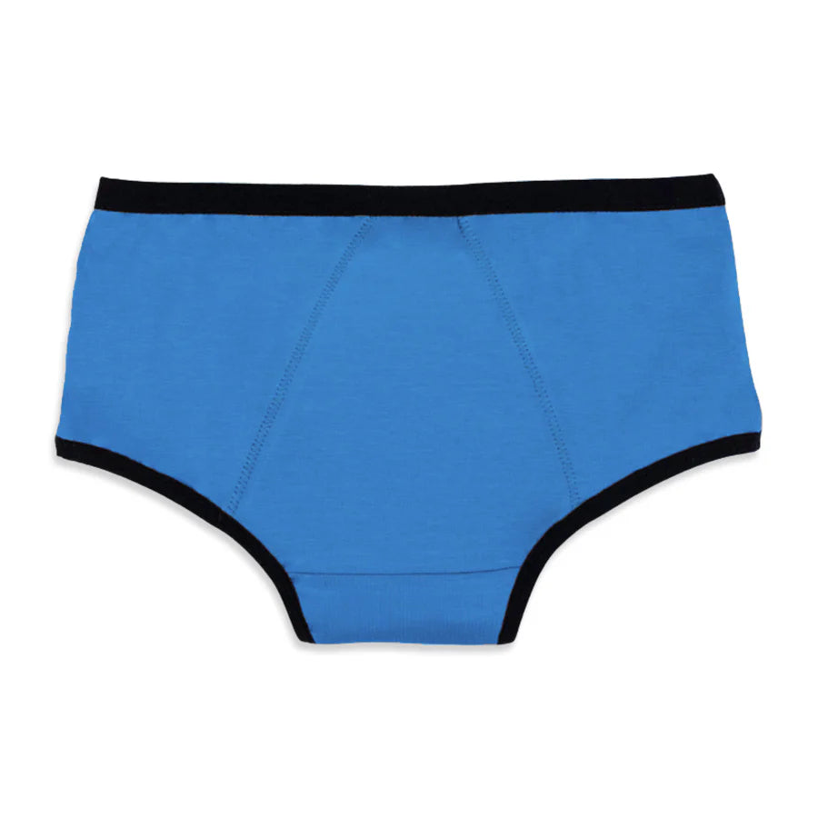 3-Pack reusable period panty