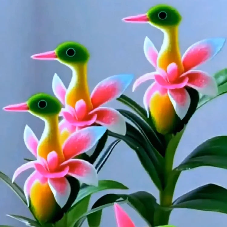 ✨🦆Lucky Duck Orchid