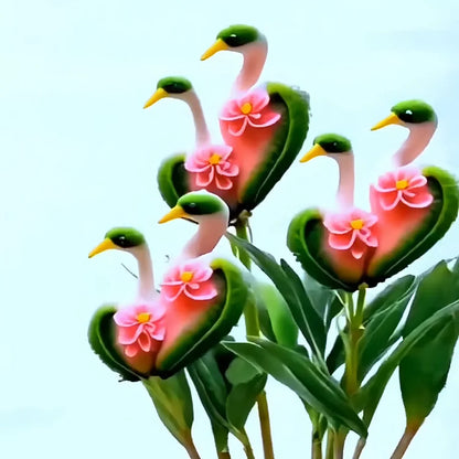 ✨🦆Lucky Duck Orchid